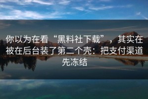 你以为在看“黑料社下载”，其实在被在后台装了第二个壳：把支付渠道先冻结
