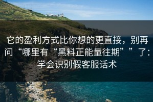 它的盈利方式比你想的更直接，别再问“哪里有“黑料正能量往期””了：学会识别假客服话术