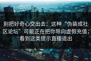 别把好奇心交出去：这种“伪装成社区论坛”可能正在把你导向虚假充值；看到这类提示直接退出