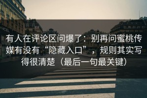有人在评论区问爆了：别再问蜜桃传媒有没有“隐藏入口”，规则其实写得很清楚（最后一句最关键）
