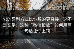 它的盈利方式比你想的更直接，这不是玄学：这种“私信投放”如何用两句话让你上钩
