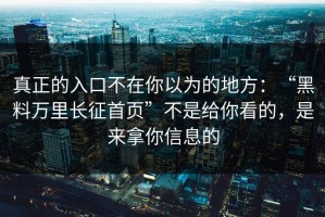 真正的入口不在你以为的地方：“黑料万里长征首页”不是给你看的，是来拿你信息的