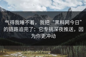 气得我睡不着，我把“黑料网今日”的链路追完了：它专挑深夜推送，因为你更冲动