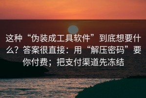 这种“伪装成工具软件”到底想要什么？答案很直接：用“解压密码”要你付费；把支付渠道先冻结