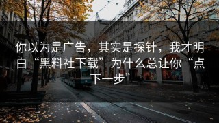 你以为是广告，其实是探针，我才明白“黑料社下载”为什么总让你“点下一步”