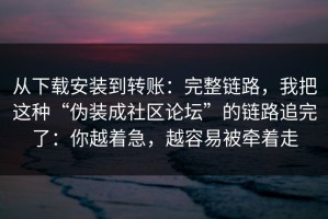 从下载安装到转账：完整链路，我把这种“伪装成社区论坛”的链路追完了：你越着急，越容易被牵着走