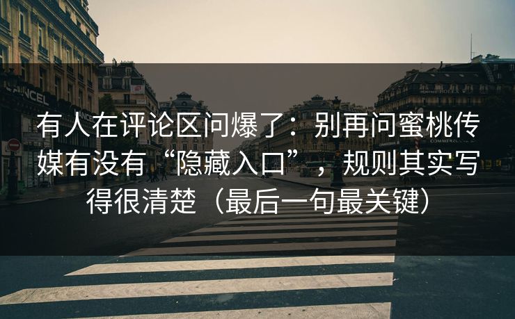 有人在评论区问爆了：别再问蜜桃传媒有没有“隐藏入口”，规则其实写得很清楚（最后一句最关键）