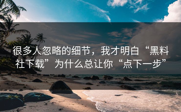 很多人忽略的细节，我才明白“黑料社下载”为什么总让你“点下一步”