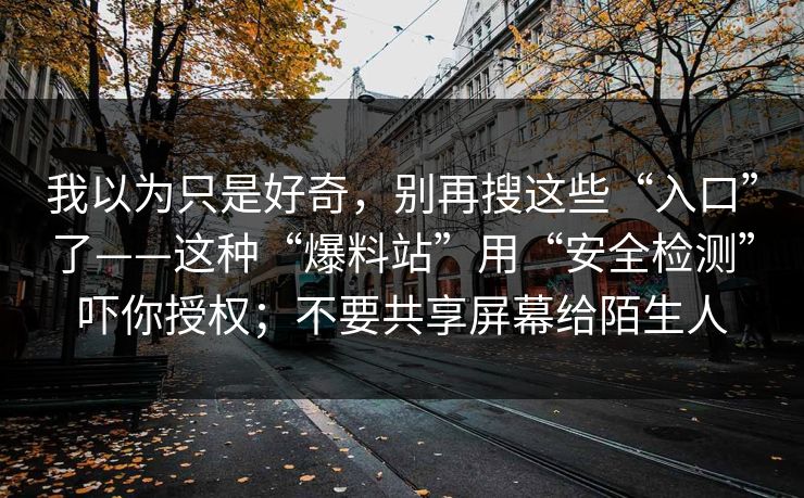 我以为只是好奇，别再搜这些“入口”了——这种“爆料站”用“安全检测”吓你授权；不要共享屏幕给陌生人