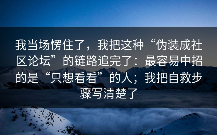我当场愣住了，我把这种“伪装成社区论坛”的链路追完了：最容易中招的是“只想看看”的人；我把自救步骤写清楚了