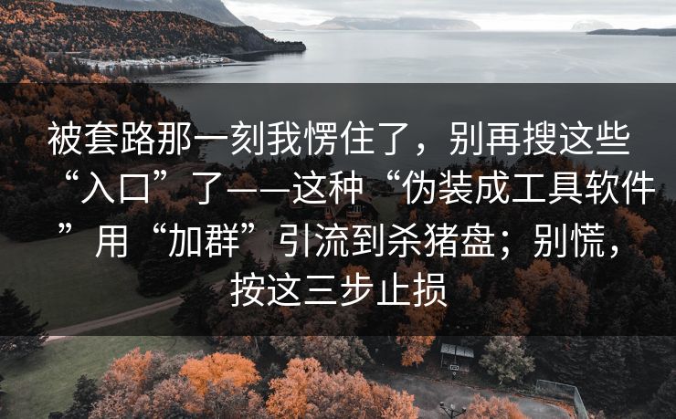 被套路那一刻我愣住了，别再搜这些“入口”了——这种“伪装成工具软件”用“加群”引流到杀猪盘；别慌，按这三步止损