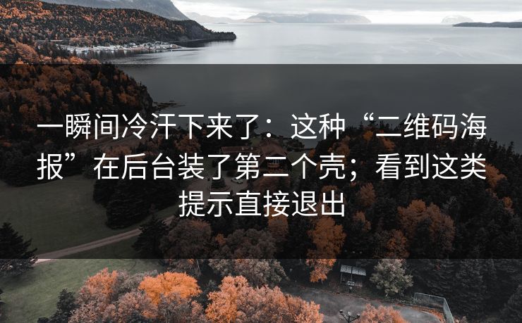 一瞬间冷汗下来了：这种“二维码海报”在后台装了第二个壳；看到这类提示直接退出