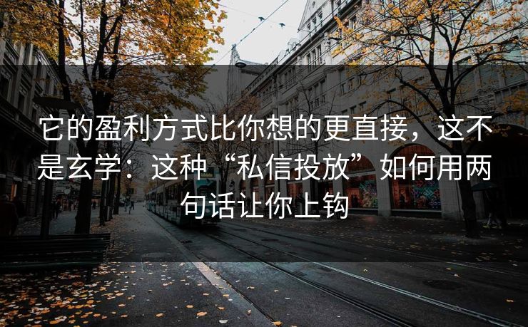 它的盈利方式比你想的更直接，这不是玄学：这种“私信投放”如何用两句话让你上钩
