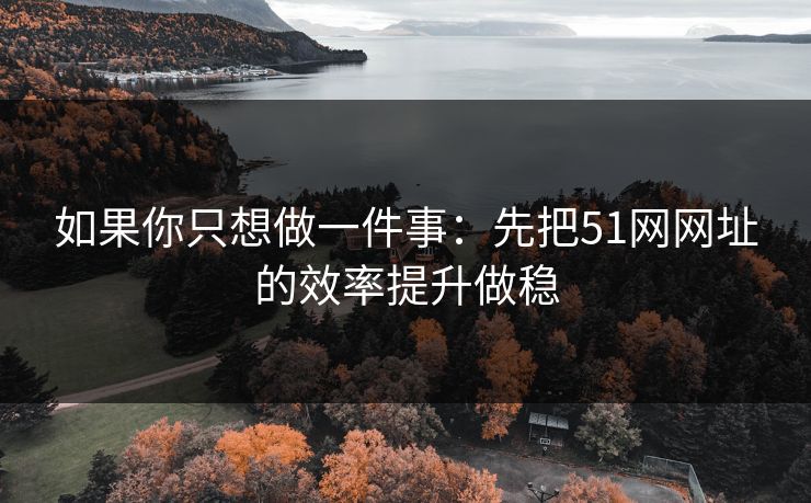 如果你只想做一件事：先把51网网址的效率提升做稳